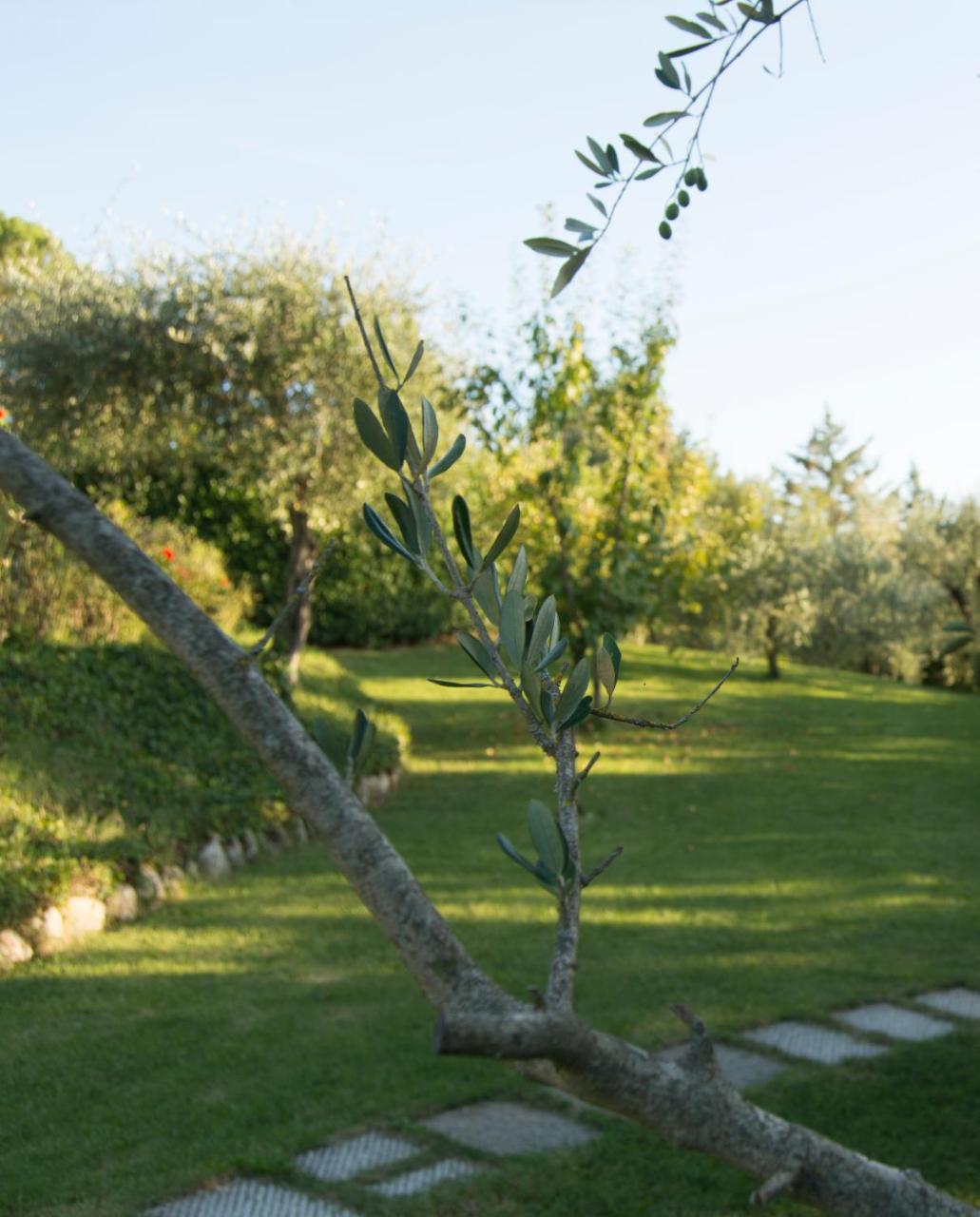 Borgo Villa Risi Siena Exterior foto